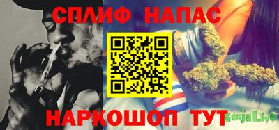молекула духа Анжеро-Судженск