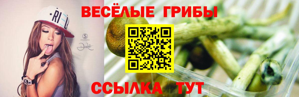 Псилоцибиновые грибы Cubensis  Вход с VPN  Псилоцибиновые грибы MAGIC MUSHROOMS  Архангельск 
